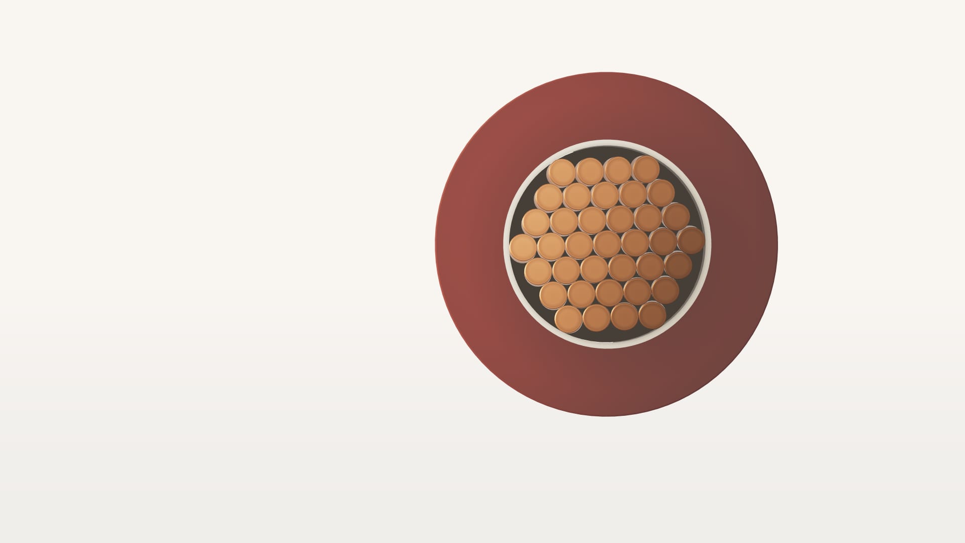 The cut end of a 2.5 sq mm FR cable: thirty-seven copper strands packed under red PVC, raked by morning light.